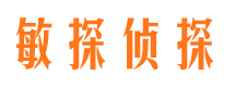 宜黄市私家侦探